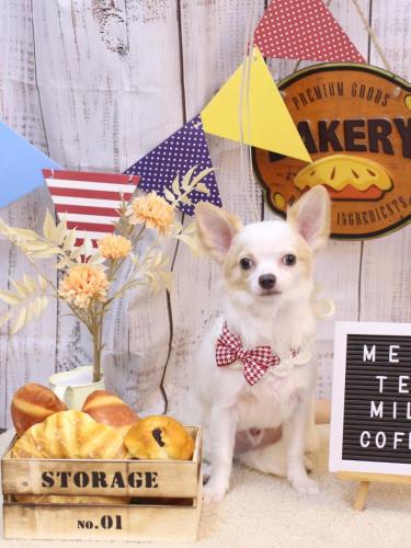 20240915ゆきくん